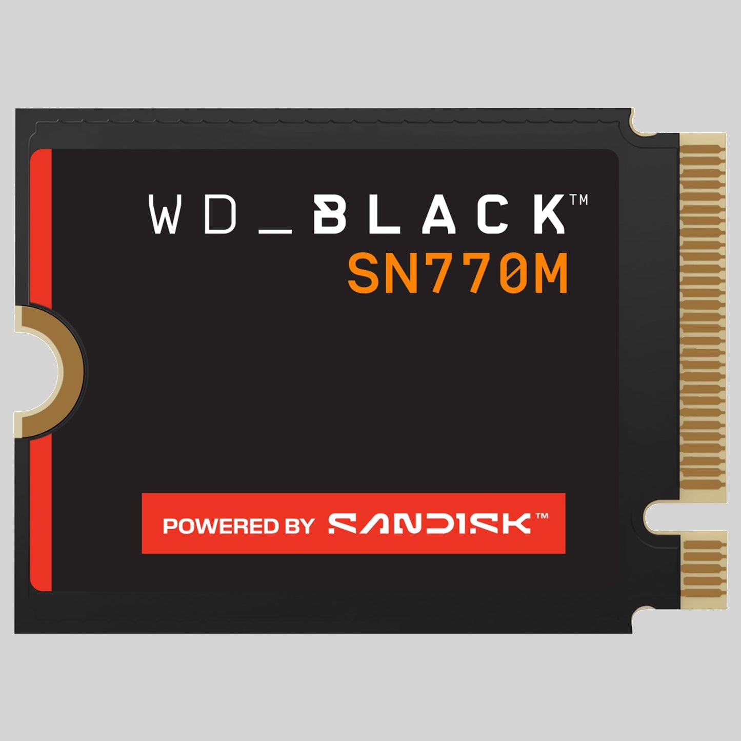 WD_Black SN770M 1TB M.2 2230 NVMeSSD (Internal Solid State Drives)