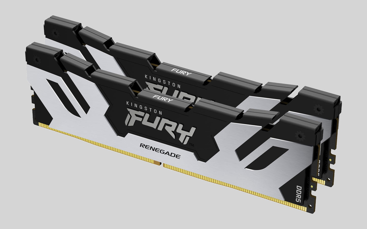 Kingston FURY Renegade Silver 32GB (Memory)