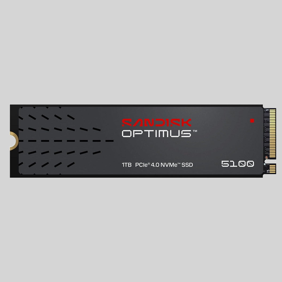 SANDISK 1TB Optimus 5100 NVMe SSD (Electronics, Computers, Laptops and Tablets, Computer Accessories, SanDisk Hard Drives)
