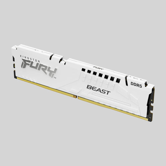 Kingston FURY Beast White 64GB (Memory)