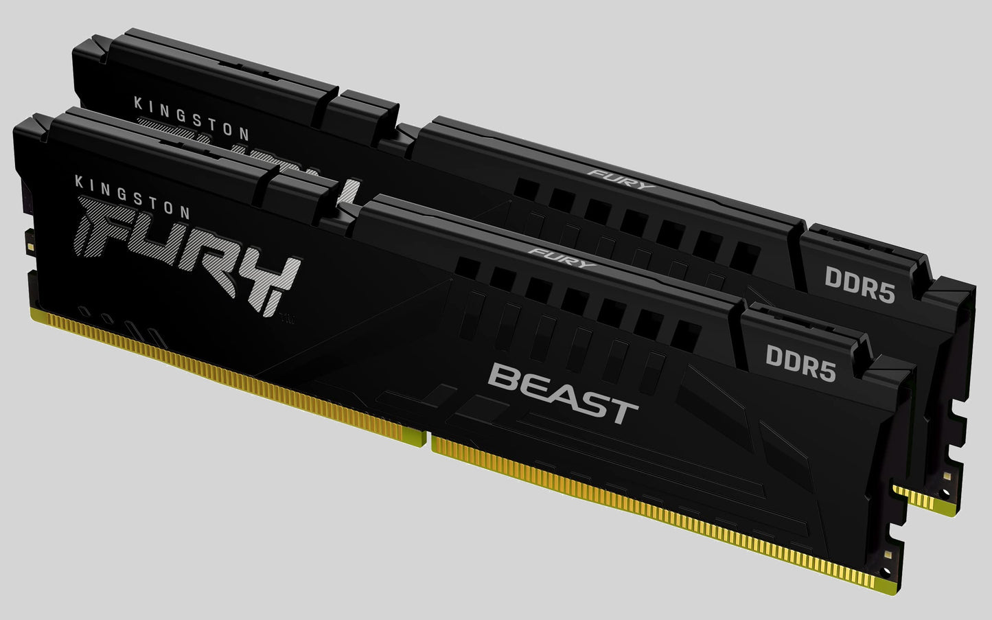 Kingston FURY Beast White 64GB (Memory)